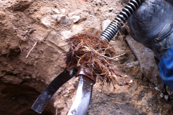 Bautrocknung Büttner - Kanalreinigung Kanalreinigung